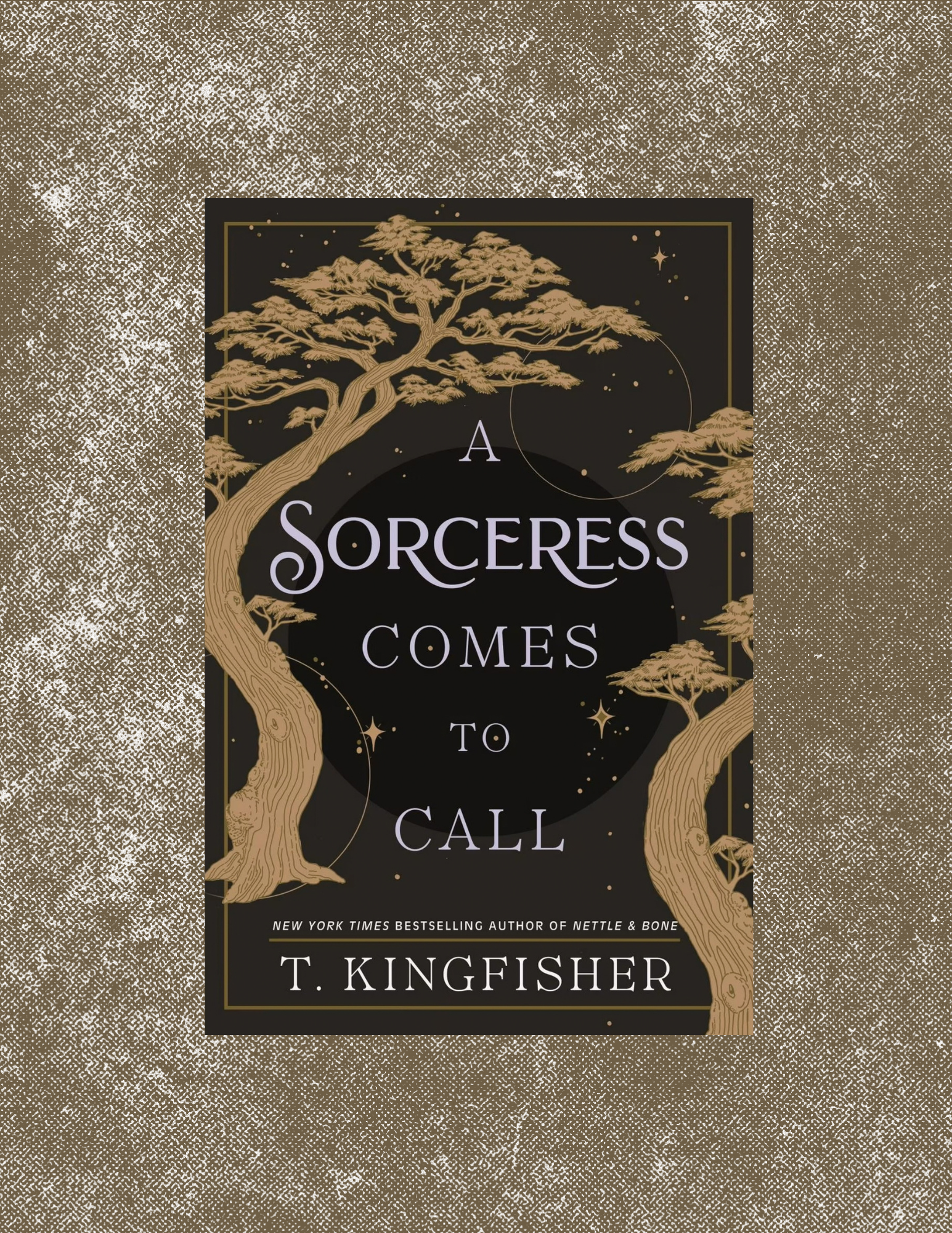 Book Review for A Sorceress Comes to Call by T. Kingfisher